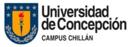 Universidad de Concepción (Chile). Campus Chillán